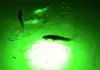 underwater green led fishing lights