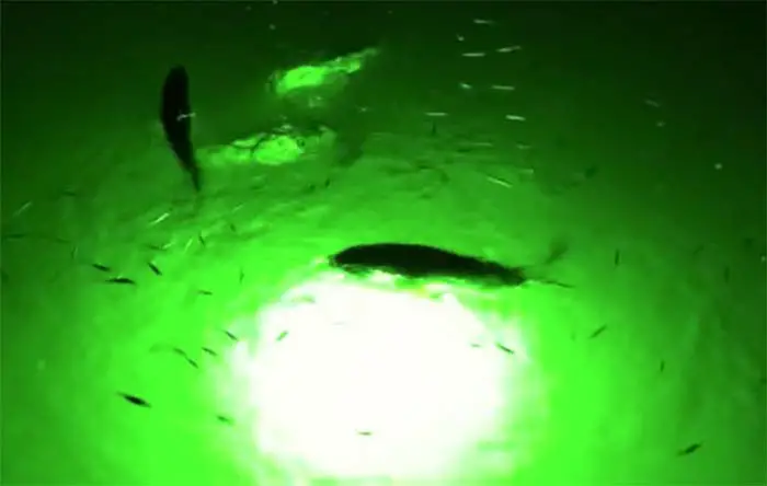 Details about   Glow Sticks Night Fishing Light Underwater Attractive Light Fishing Squid 