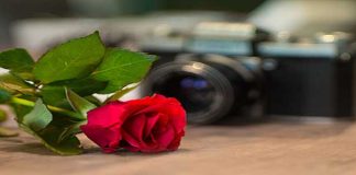 Gifts for Photography Lovers rose camera