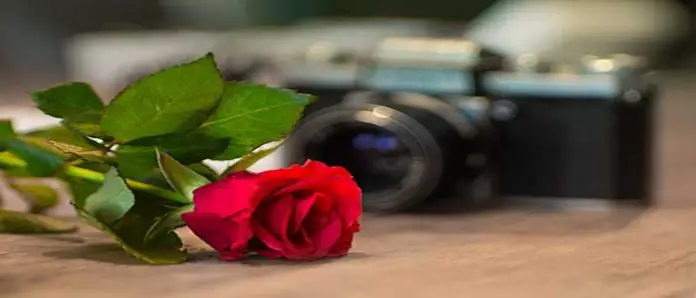 Gifts for Photography Lovers rose camera