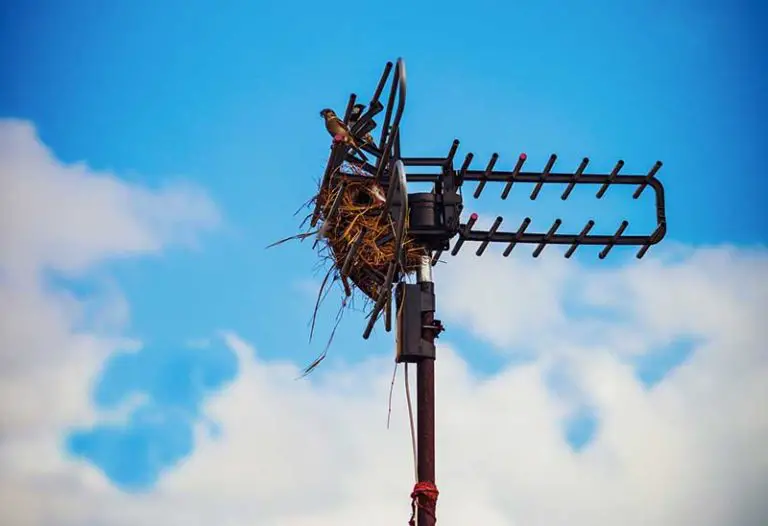 How To Fix TV Antenna Connectors & Wiring Fast For Better Reception