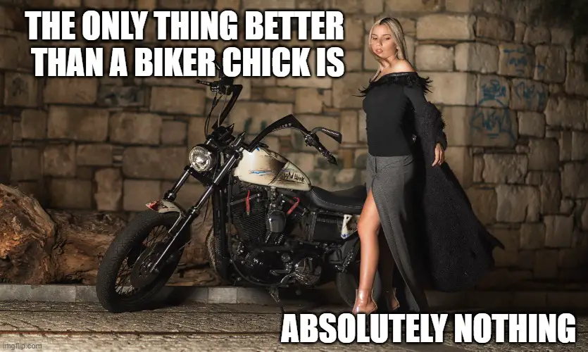 Lady biker quotes The only thing better than a biker chick is - Absolutely Nothing